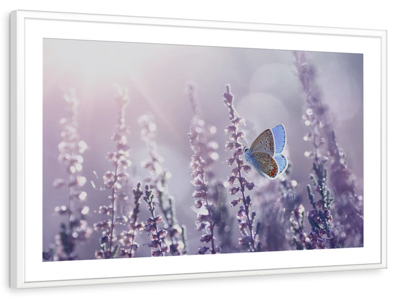 Lavender Flower Wall Art