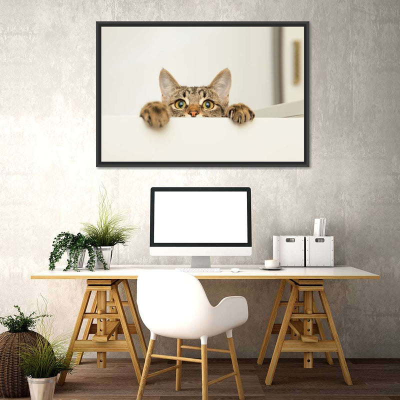 Peeking Young Cat Wall Art