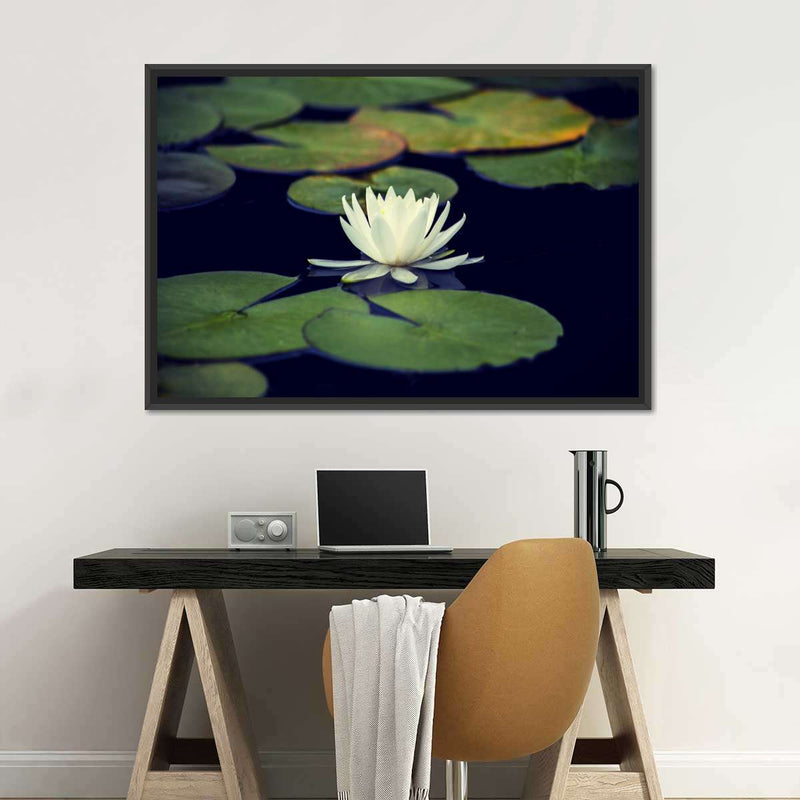 Lotus And Leaves Wall Art