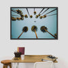 Plane Below Palm Trees Wall Art