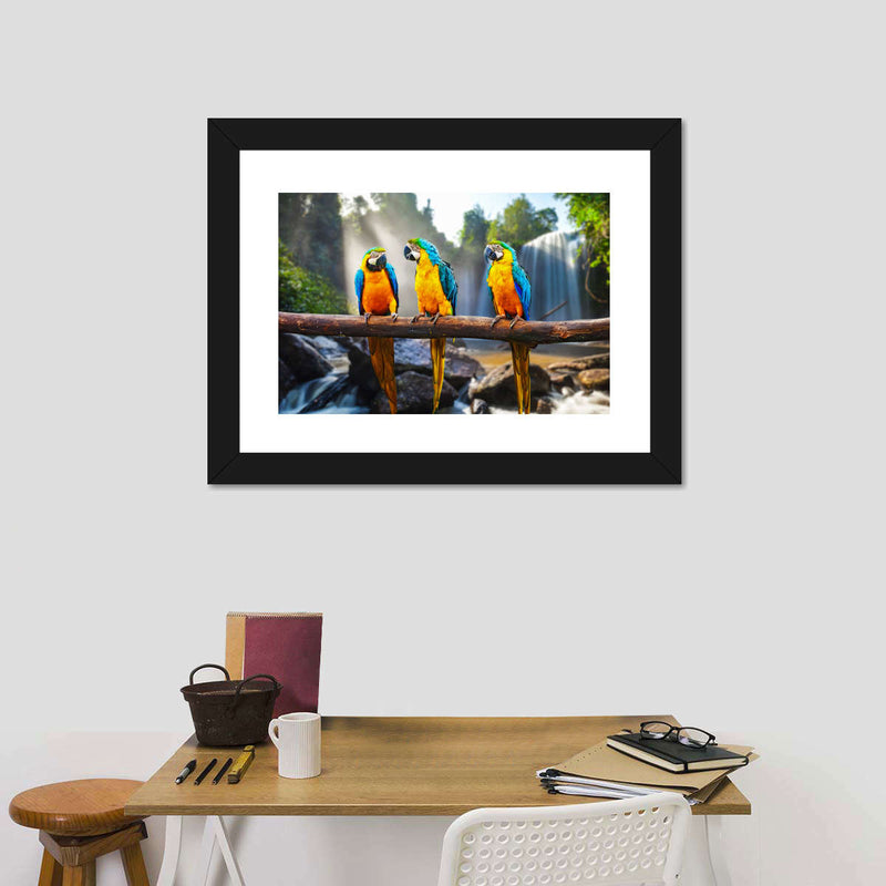 Macaw Friends Wall Art