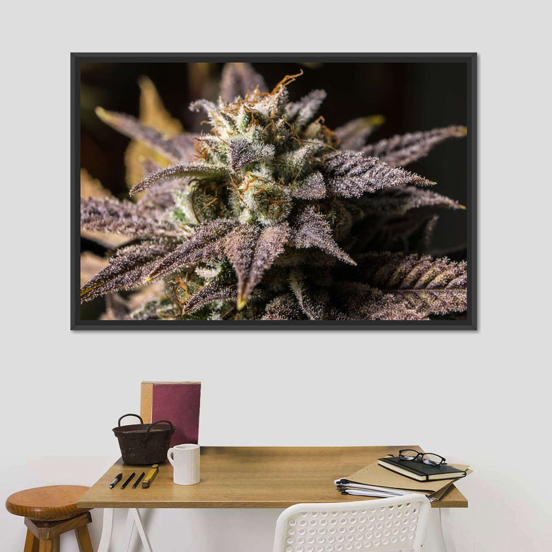 Marijuana In Winter Wall Art