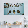 Plane Below Palm Trees Wall Art