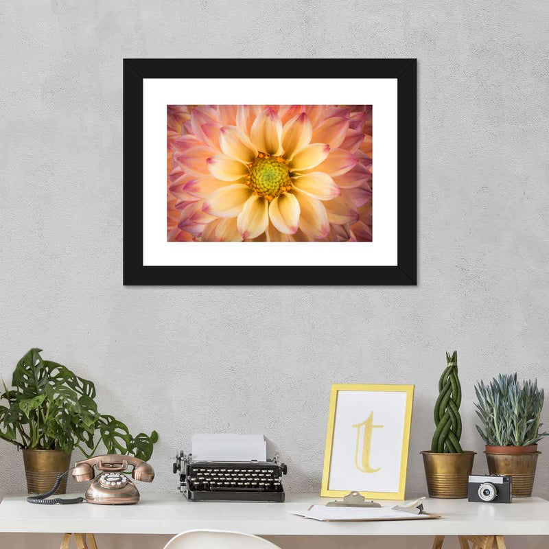 Lovely Dahlia Wall Art