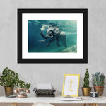 Swimming Elephant Wall Art