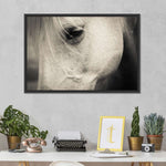 White Horse Eye Wall Art