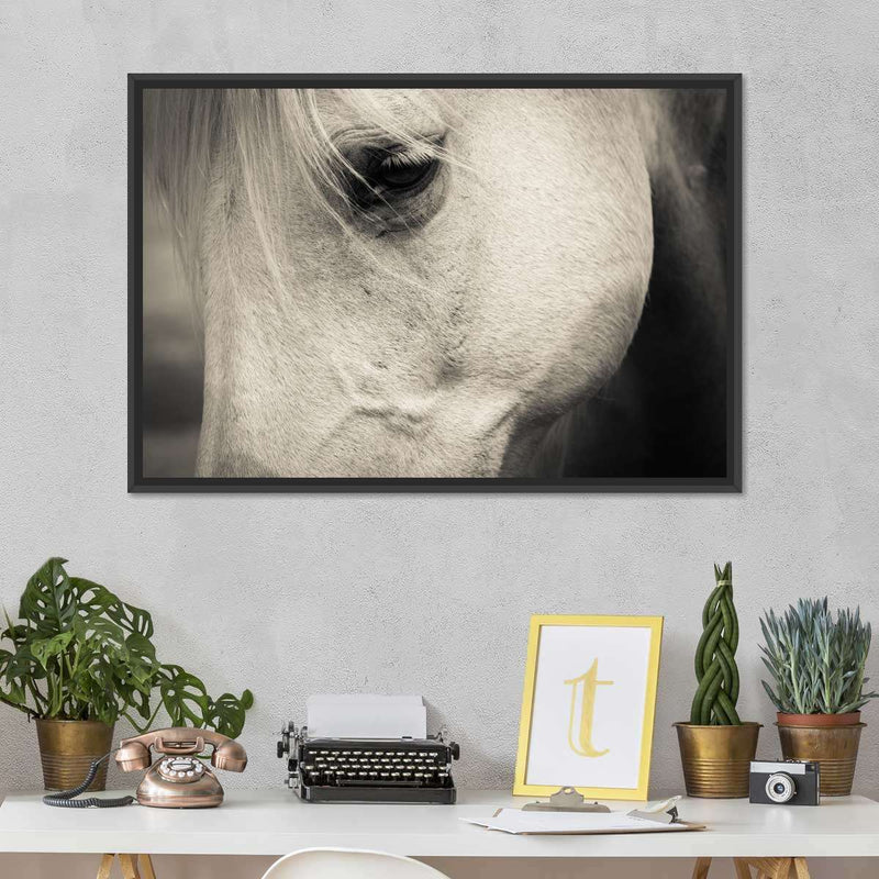 White Horse Eye Wall Art