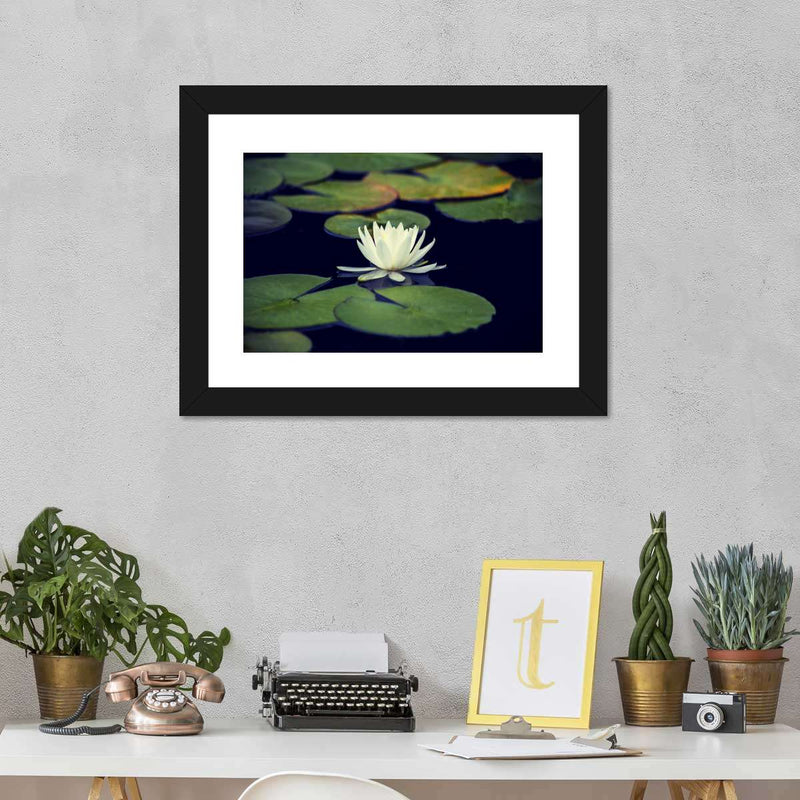 Lotus And Leaves Wall Art