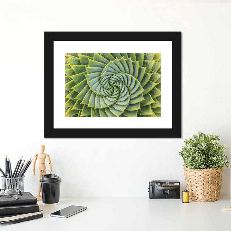 Spiral Succulent Wall Art