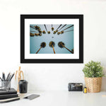 Plane Below Palm Trees Wall Art