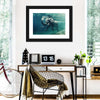 Swimming Elephant Wall Art