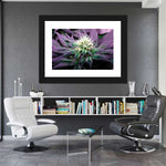 Rare Cannabis Plant Wall Art