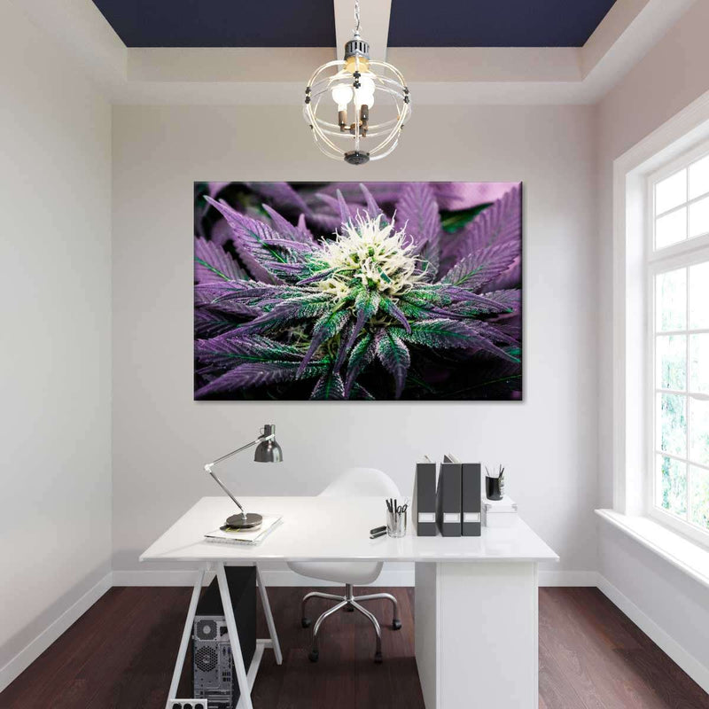 Rare Cannabis Plant Wall Art
