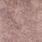 Klaaswaal Rose Pillow Cover