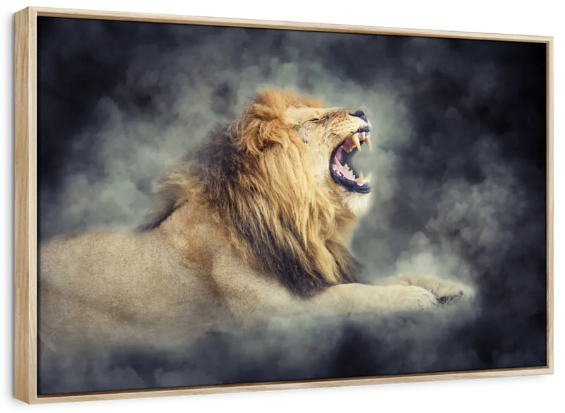 Misty Wild Lion Wall Art