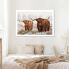 Hairy Scottish Highland Cows Wall Art