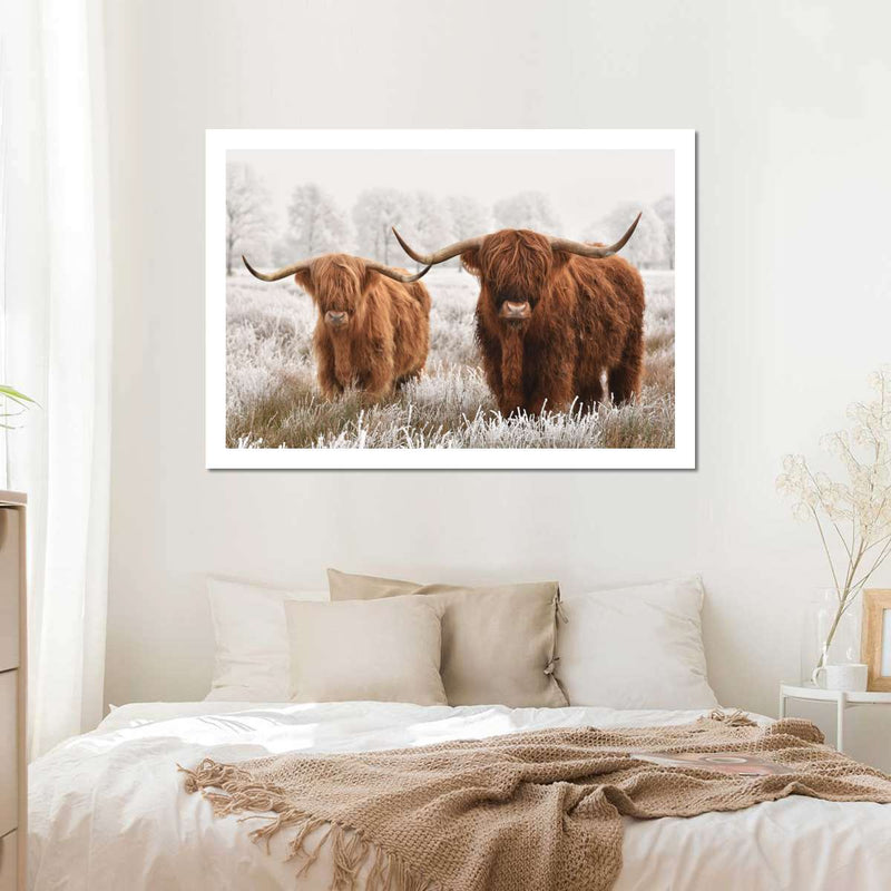 Hairy Scottish Highland Cows Wall Art