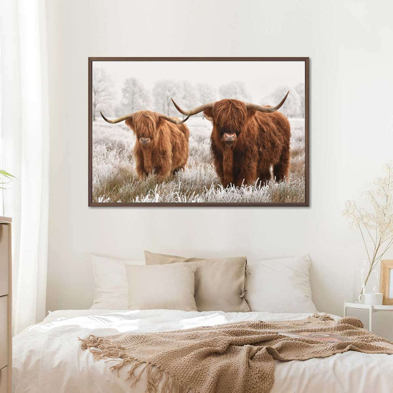 Hairy Scottish Highland Cows Wall Art