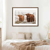 Hairy Scottish Highland Cows Wall Art