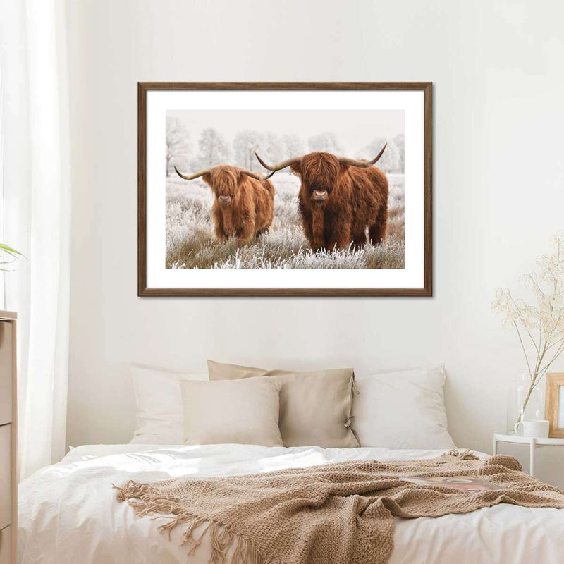 Hairy Scottish Highland Cows Wall Art
