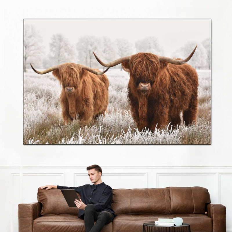 Hairy Scottish Highland Cows Wall Art