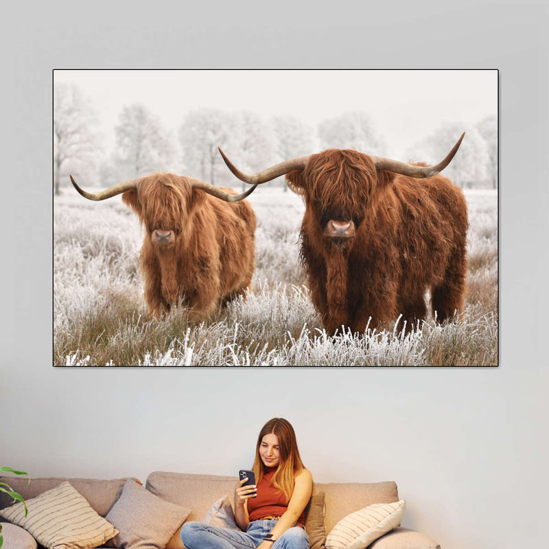 Hairy Scottish Highland Cows Wall Art