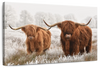 Hairy Scottish Highland Cows Wall Art
