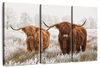 Hairy Scottish Highland Cows Wall Art