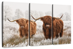 Hairy Scottish Highland Cows Wall Art