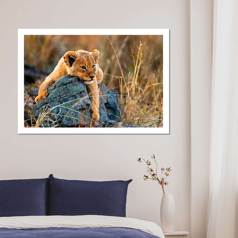 Safari Lion Cub Wall Art