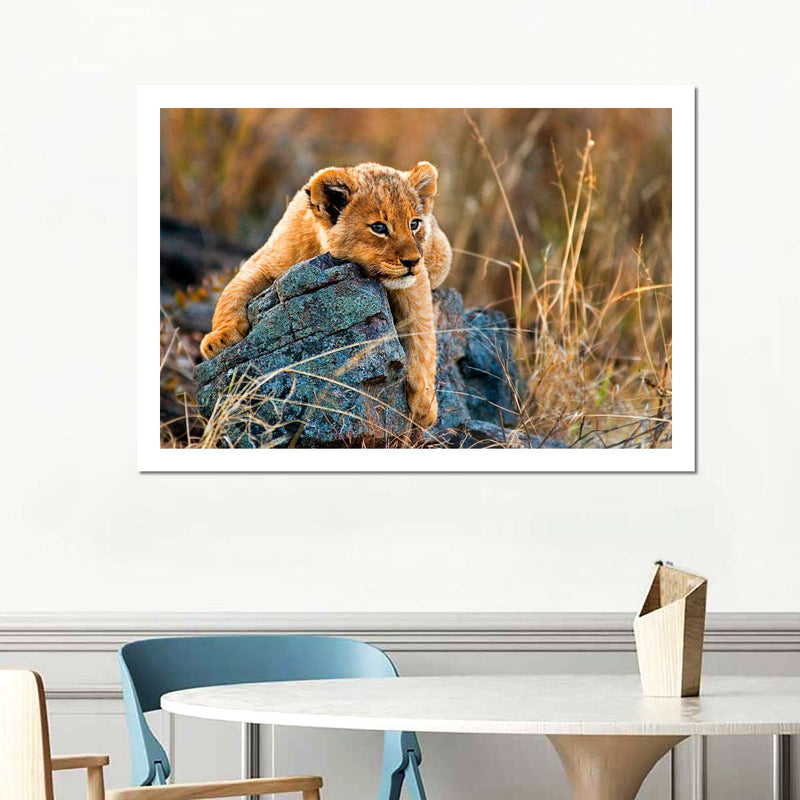 Safari Lion Cub Wall Art