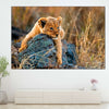 Safari Lion Cub Wall Art
