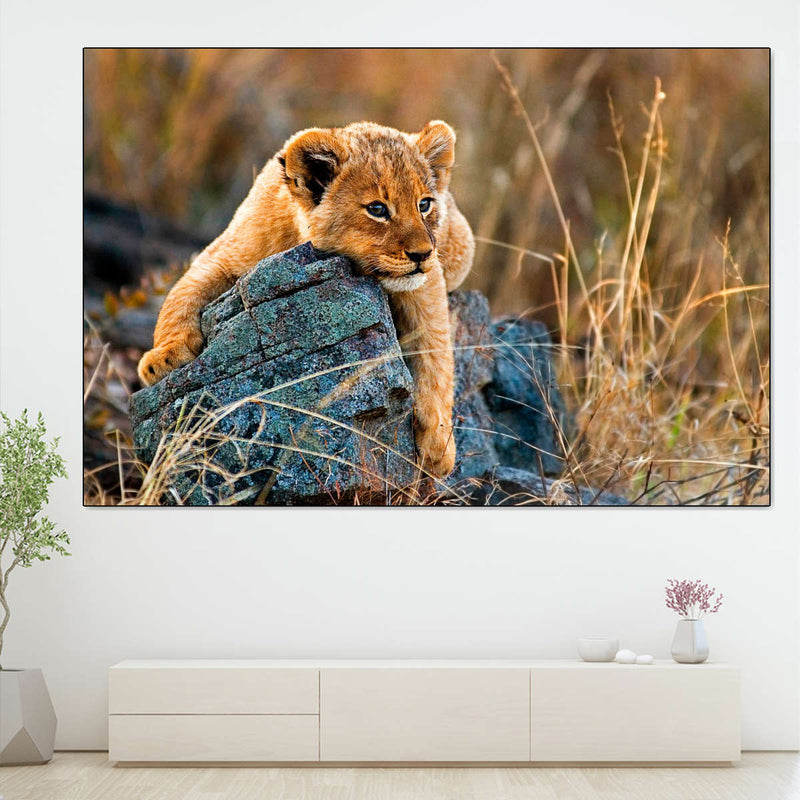 Safari Lion Cub Wall Art