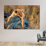 Safari Lion Cub Wall Art