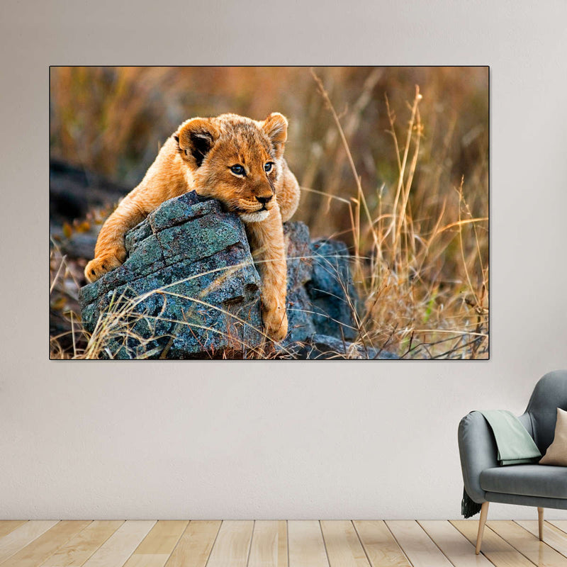 Safari Lion Cub Wall Art