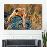 Safari Lion Cub Wall Art