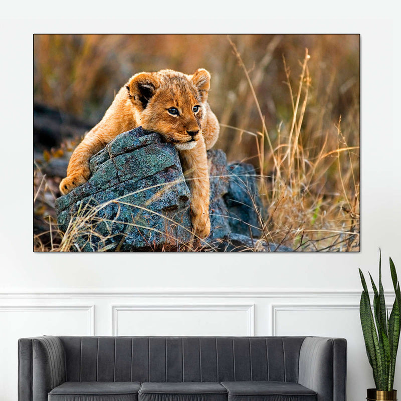 Safari Lion Cub Wall Art