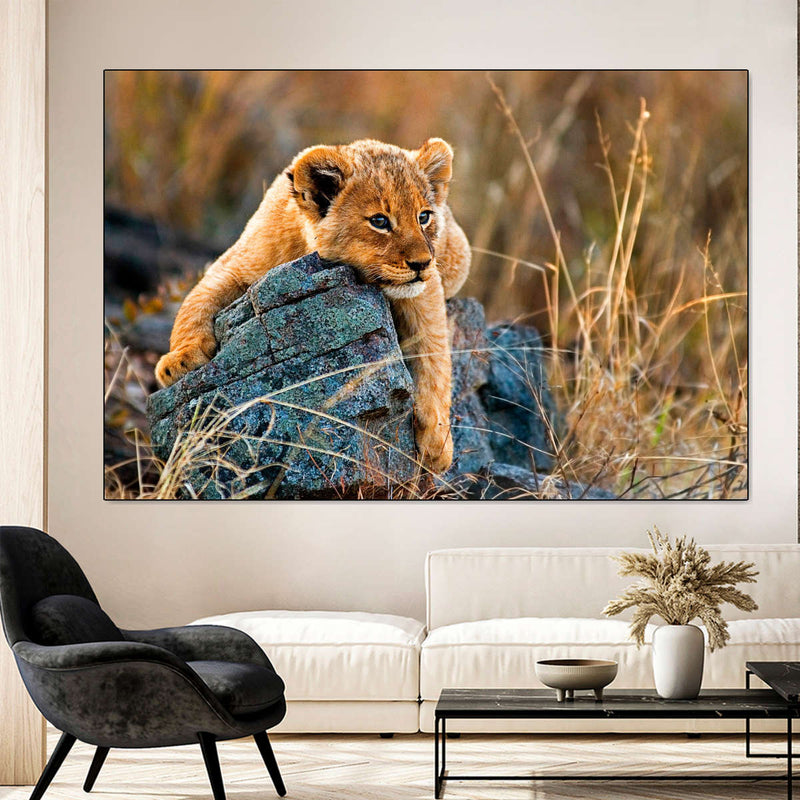 Safari Lion Cub Wall Art