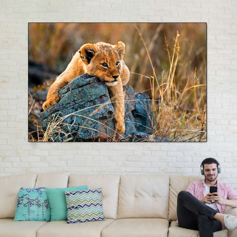 Safari Lion Cub Wall Art