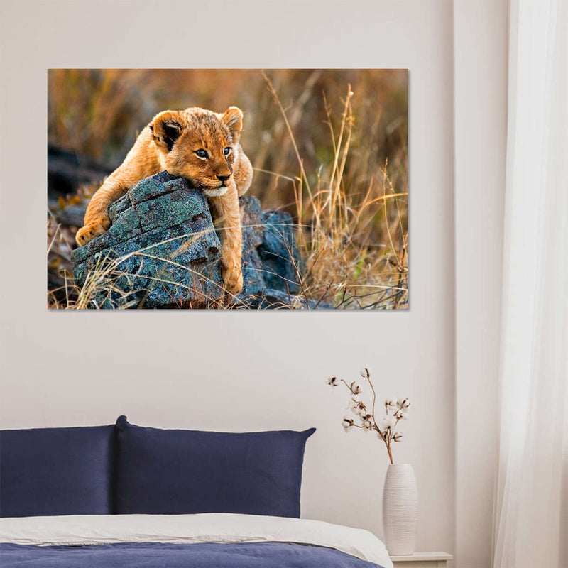 Safari Lion Cub Wall Art
