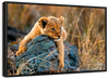 Safari Lion Cub Wall Art