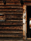 Pair Of Cows Wall Art