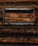Pair Of Cows Wall Art