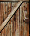 Pair Of Cows Wall Art