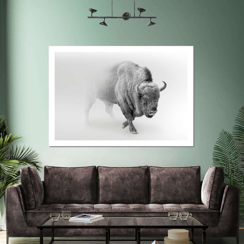 Wild Bison Wall Art