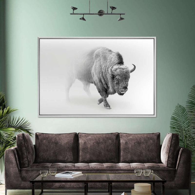 Wild Bison Wall Art