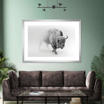 Wild Bison Wall Art