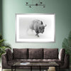 Wild Bison Wall Art