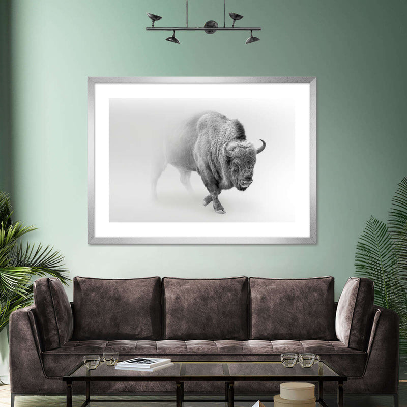 Wild Bison Wall Art