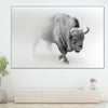 Wild Bison Wall Art